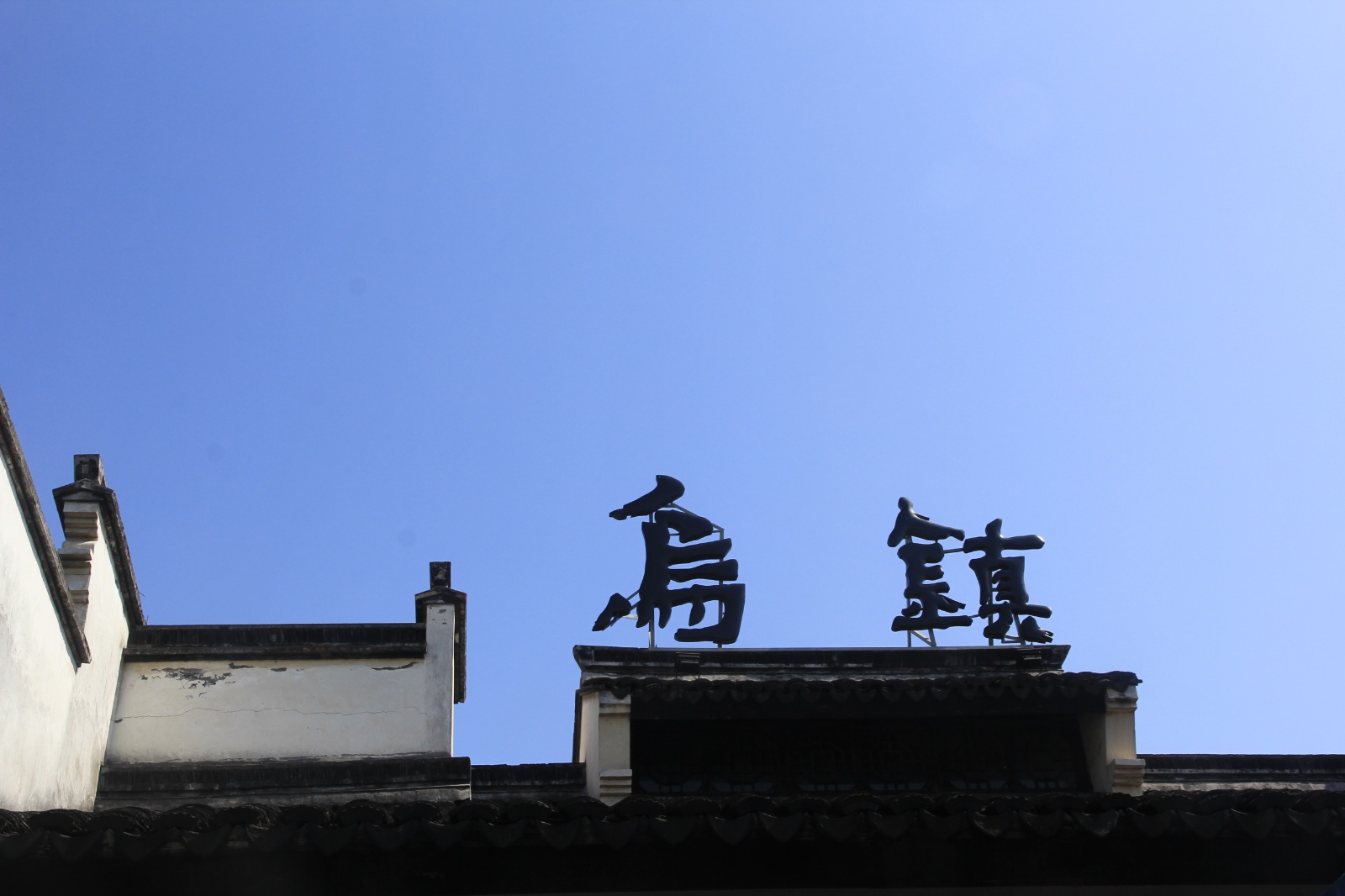 IMG 7448